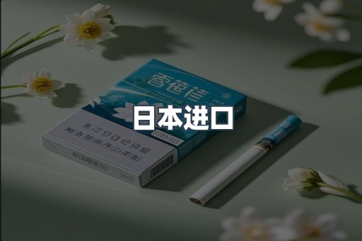 日本进口